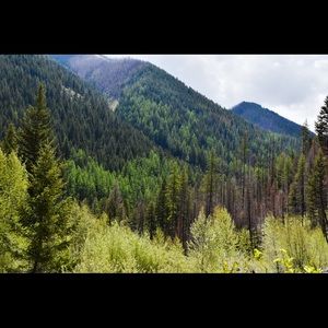 Meet your Posher, Jerri